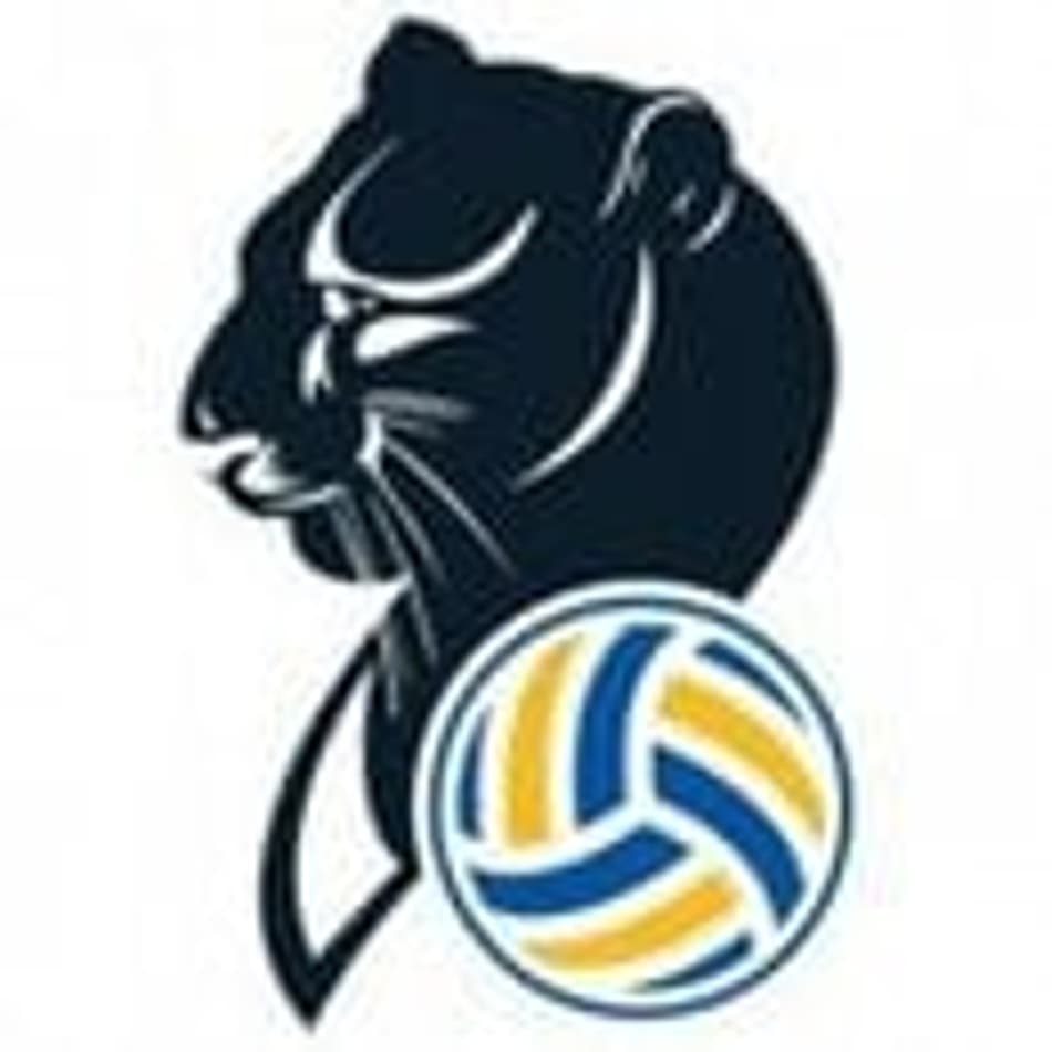 222069_logo_20210210165519_conegliano
