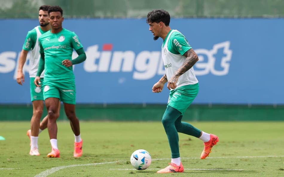 31032025_cg_palmeiras_3761_11-aspect-ratio-512-320