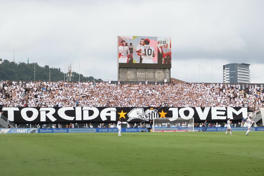 O Santos lidera o Grupo B do Campeonato Paulista e luta pela classificação para as quartas de final (Foto: Reinaldo Campos/AGIF)