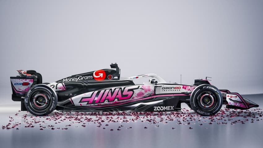 GP do Japão-Haas-pintura
