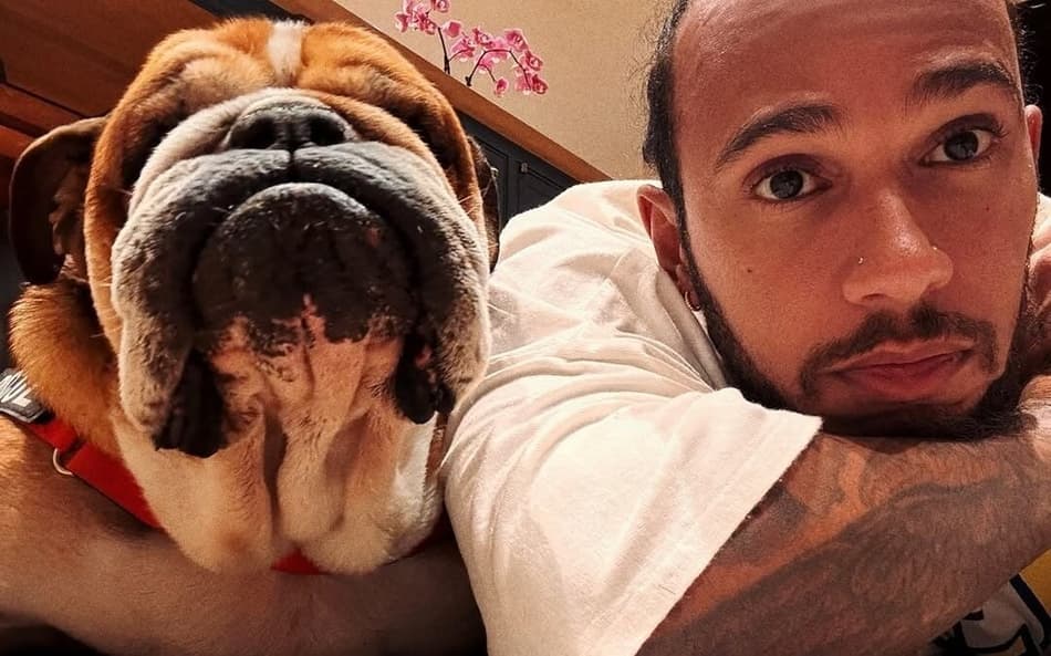 Cachorro de Lewis Hamilton é diagnosticado com doença grave
