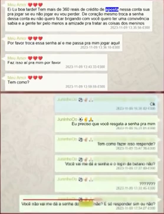 conversa irmão bruno henrique ludmila