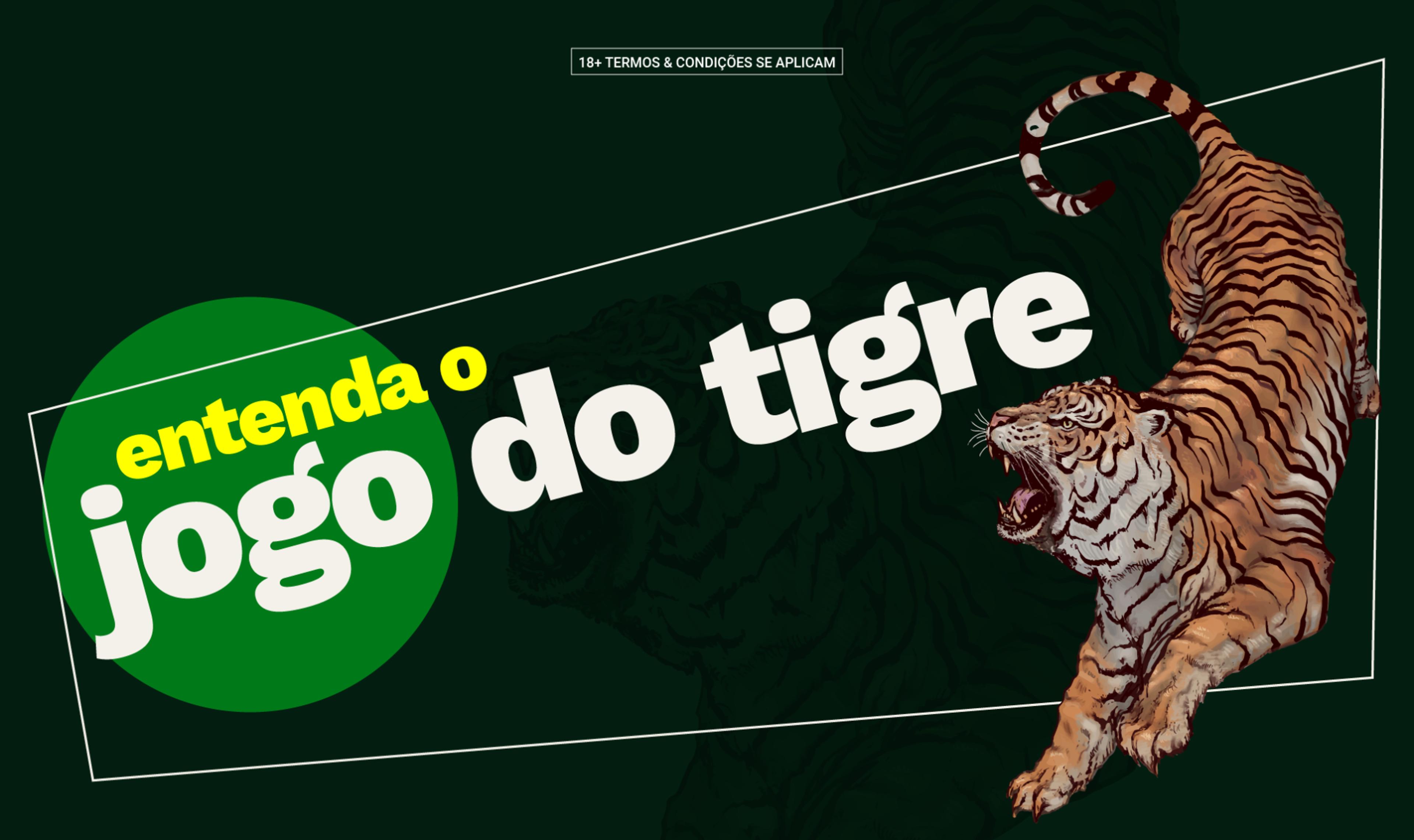 imagem da materia