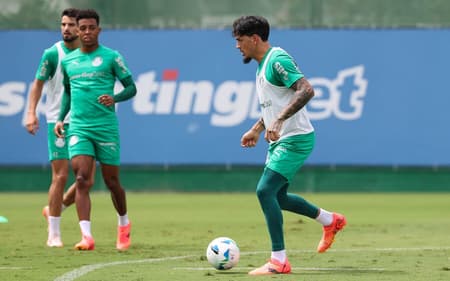 31032025_cg_palmeiras_3761_11-aspect-ratio-512-320