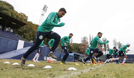 Dudu Palmeiras