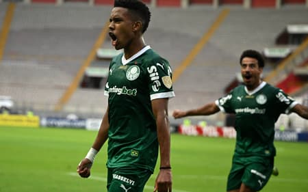 AFP__20250403__393E9GM__v1__HighRes__FblLibertadoresCristalPalmeiras-scaled-aspect-ratio-512-320