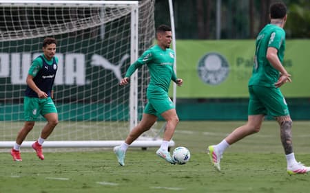 Treino-do-Palmeiras-aspect-ratio-512-320